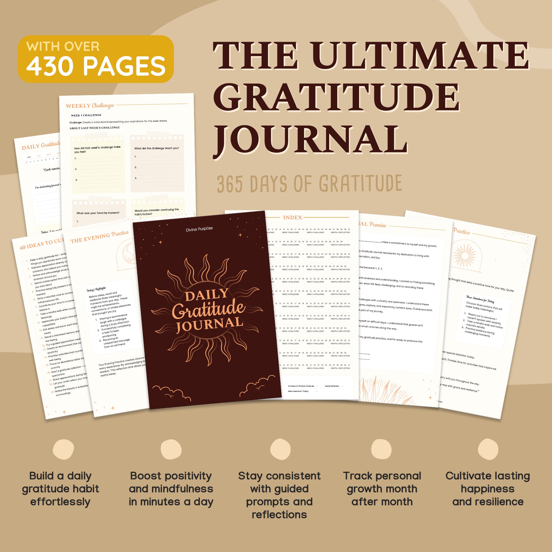 The Daily Gratitude Journal